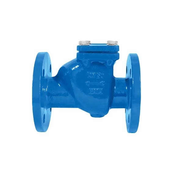 Swing type ductiel gietijzeren controleventiel BS-standaard BS5153