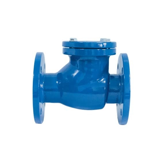 Swing Type gietijzeren kleppen DIN Standard Ductile Iron Check Valves DIN3202-F6