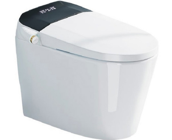 670 X 400 X 500 mm Smart Wall Hang Toilet Intelligent Sifonisch Wandmontage Smart Toilet